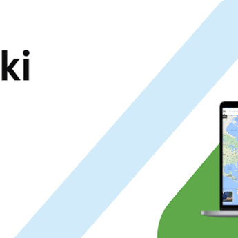 Meraki License